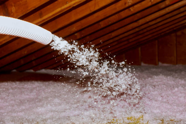 Best Insulation Contractor Near Me  in Shawsville, VA