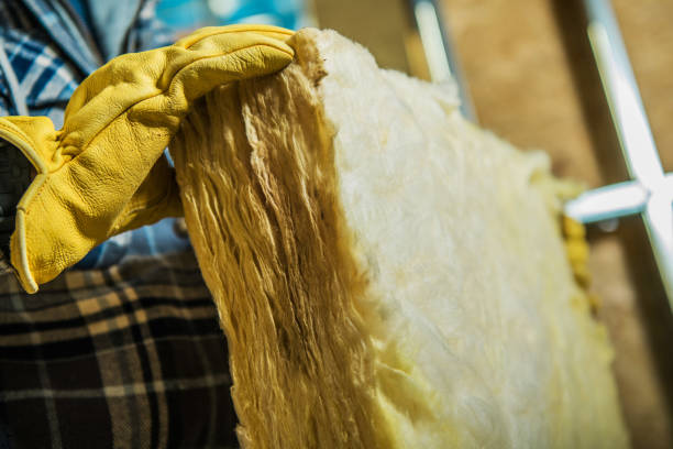 Best Cellulose Insulation  in Shawsville, VA