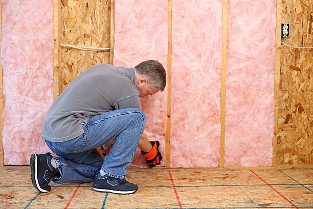 Best Spray Foam Insulation  in Shawsville, VA